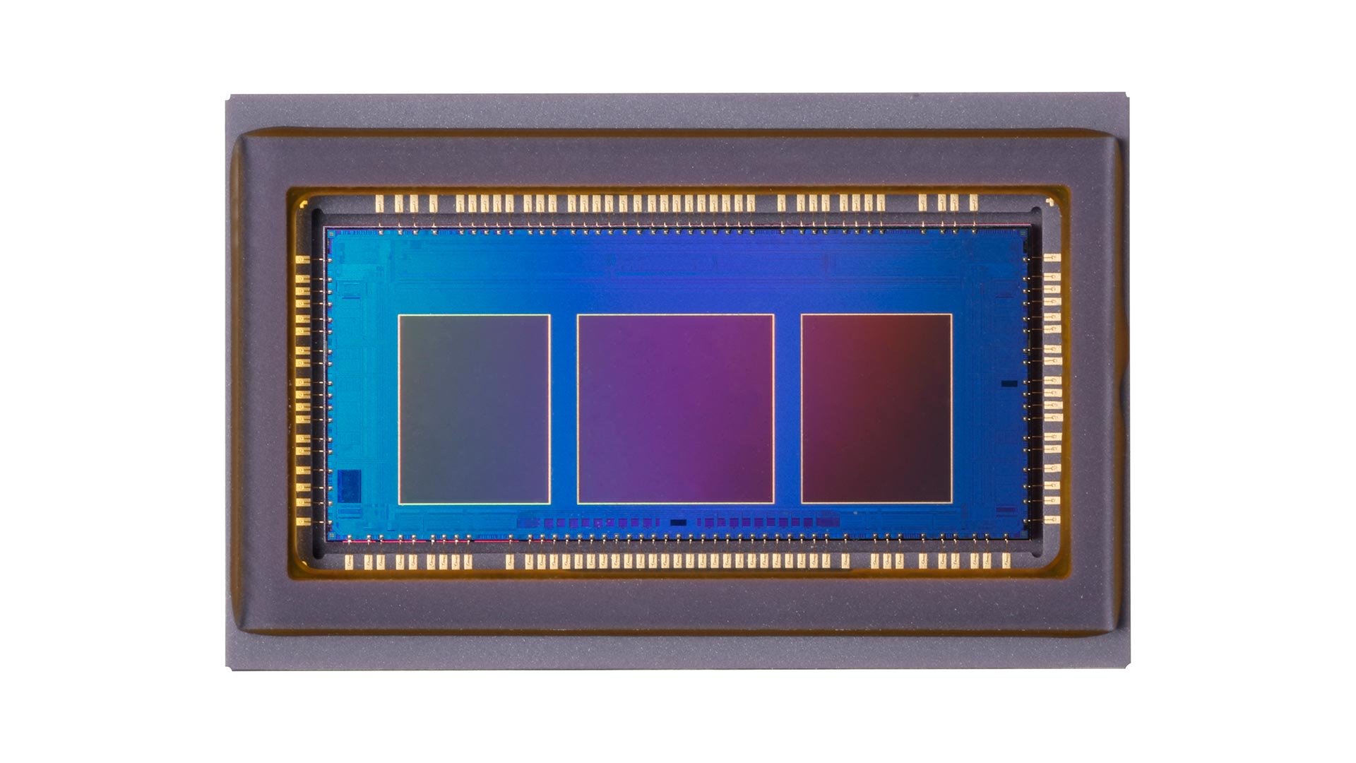 Canon 1D XmIII AFSensor web