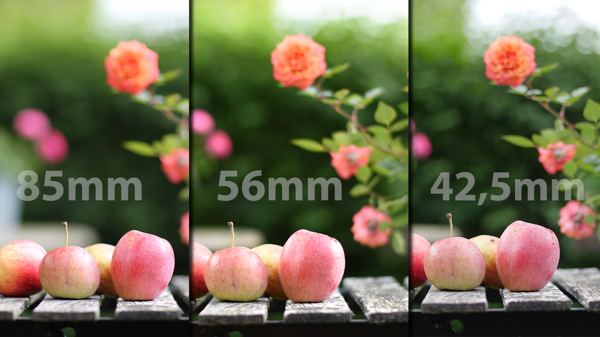 collage brennweiten sensor vergleich