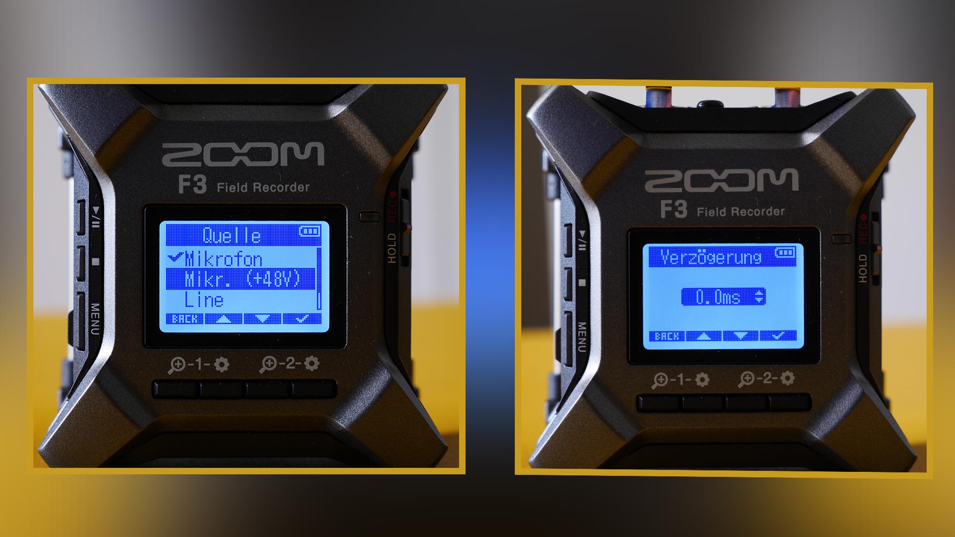 zoom f3 display collage web