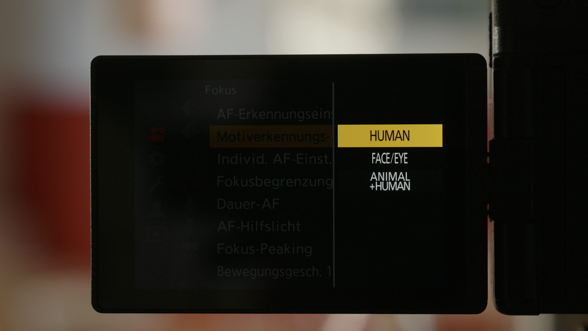 Panasonic S5II Autofokus Menue