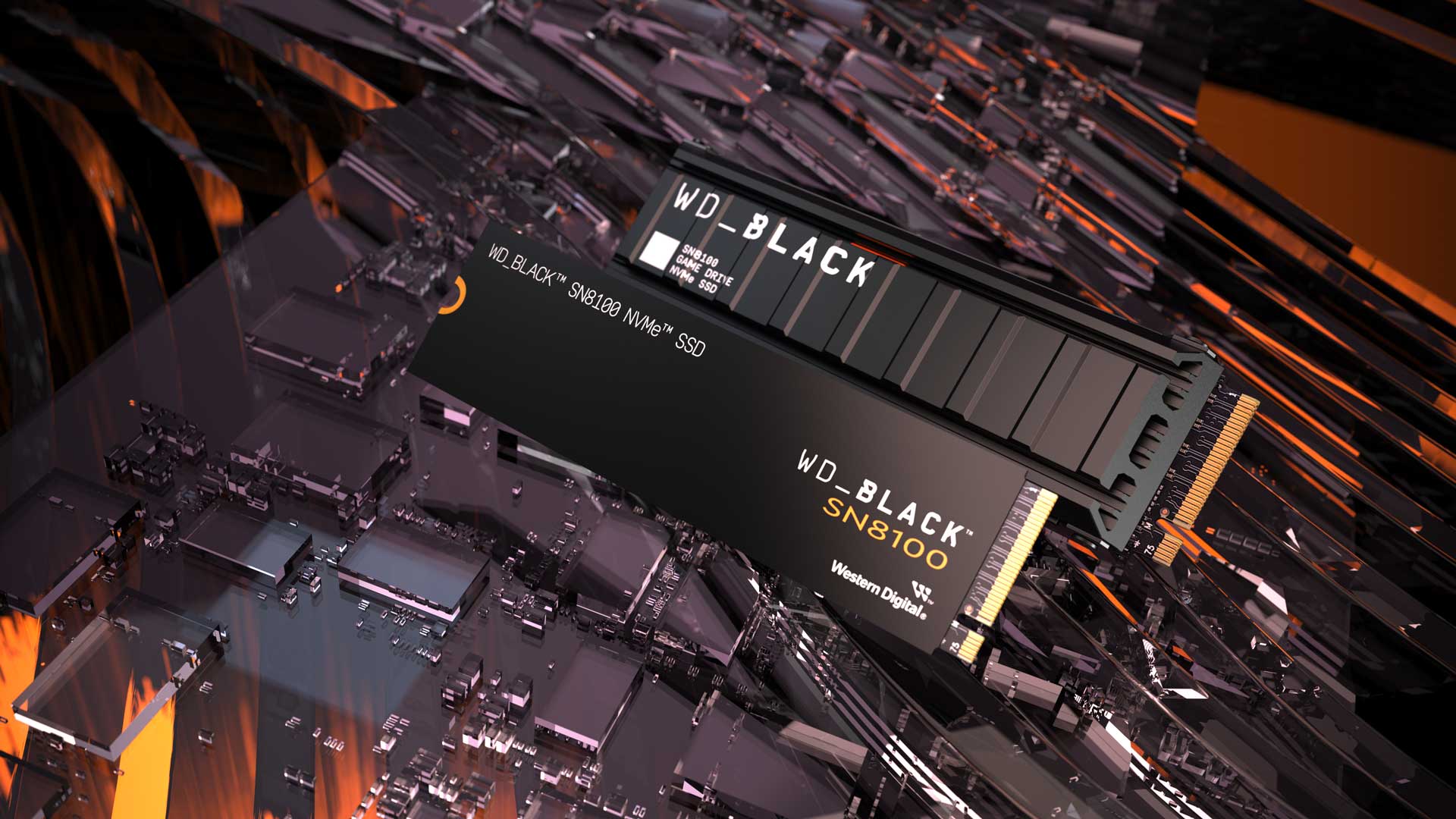Sandisk WD BLACK SN8100 FAMILY SHOT SSD HERO