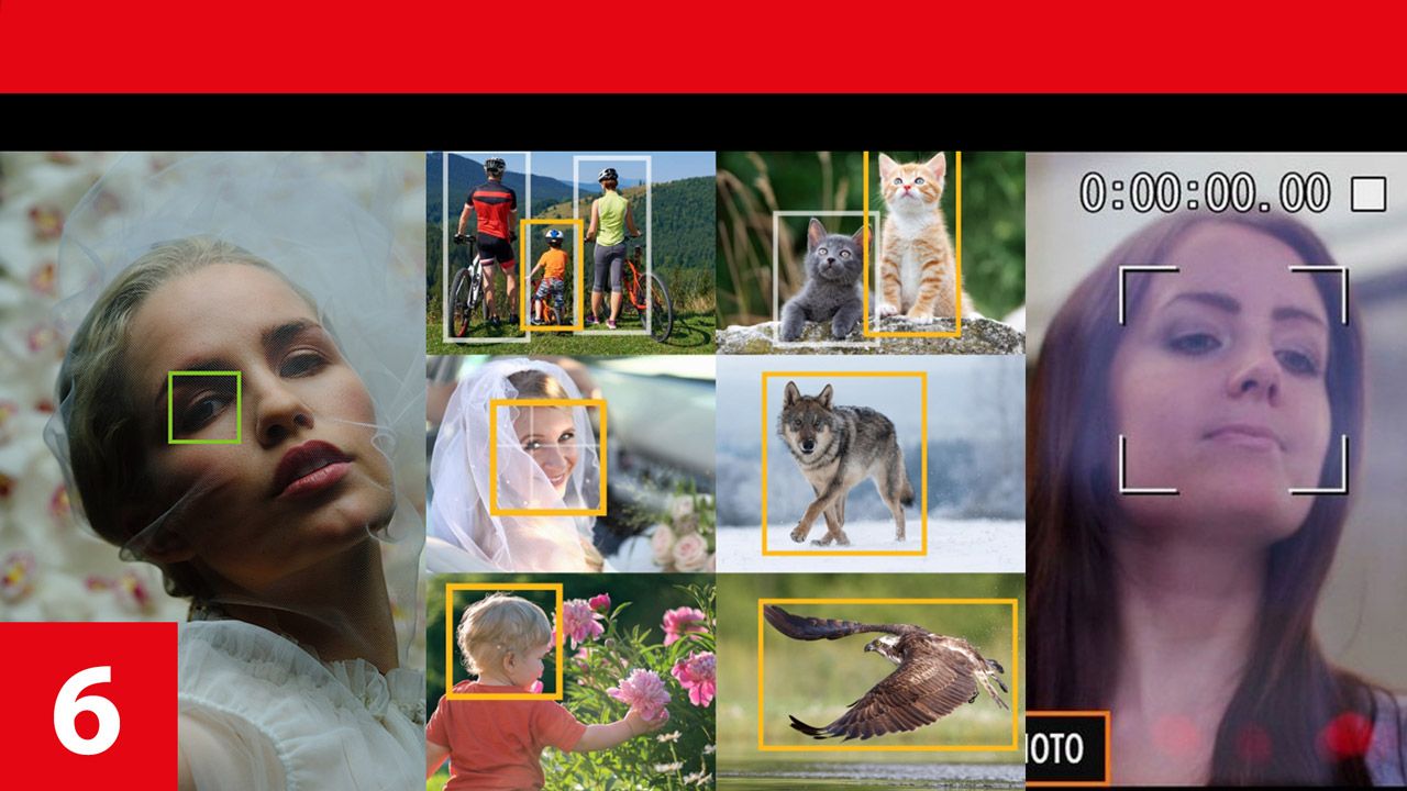 Report: Autofokus-Technik - kreative Gefahren