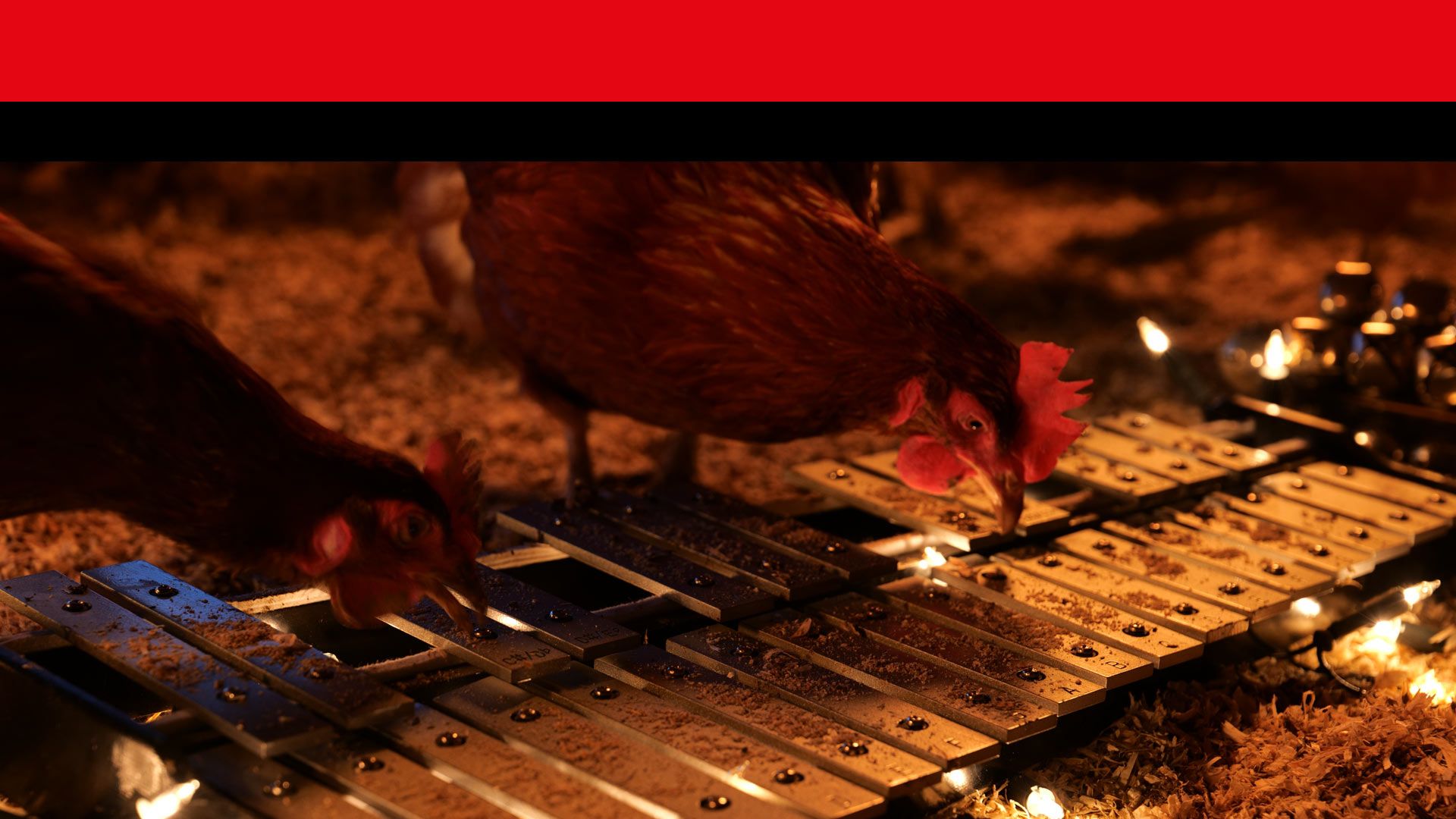 Workshop: richtiges Licht, passende Musik und der nu00f6tige Kitsch zum Weihnachtsvideo