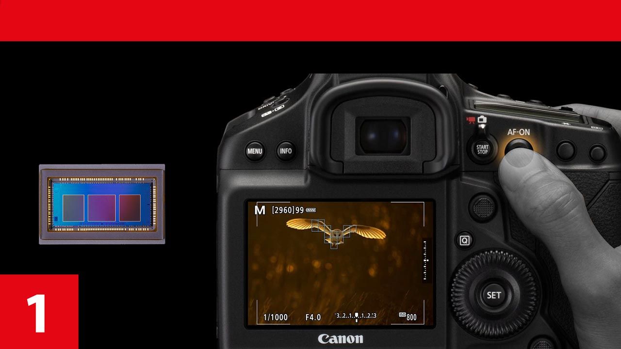 Report: Autofokus-Technik - die wichtigsten Verfahren im Vergleich