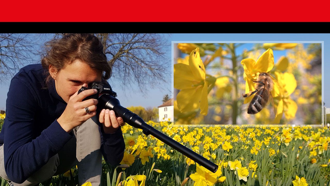 Makro-Objektiv im Praxis-Check: Laowa 24 mm f/14 Probe - Testszenen