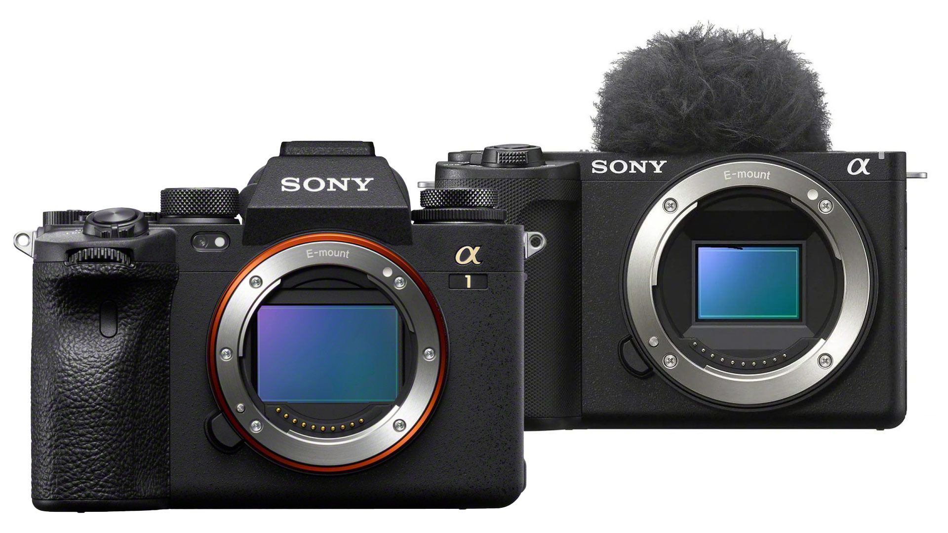 Sony: Alpha 1 bekommt mehr Autofokus-Optionen, ZV-E10 II 120p mit Lizenz